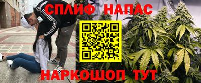марихуана Славгород