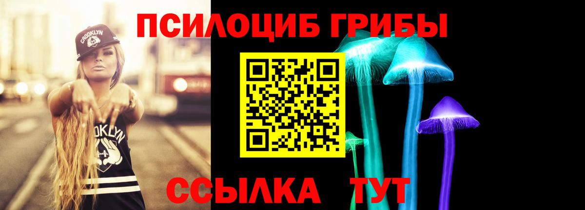 Галлюциногенные грибы GOLDEN TEACHER  Псилоцибиновые грибы мицелий  Новокубанск  Вход с VPN 